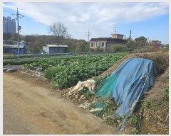  2024Ÿ��60471  �����