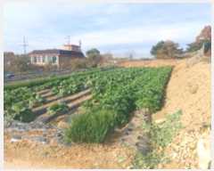  2024Ÿ��60471  �����