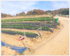  2024Ÿ��60471  �����