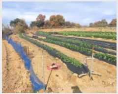  2024Ÿ��60471  �����