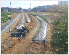  2024Ÿ��60471  �����