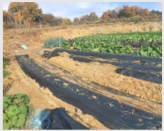  2024Ÿ��60471  �����