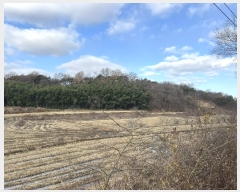  2024Ÿ��61092  �Ӿ߰��