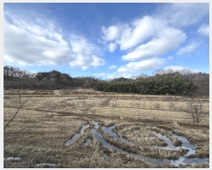  2024Ÿ��61092  �Ӿ߰��