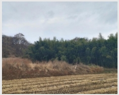  2024Ÿ��61092  �Ӿ߰��