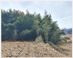  2024Ÿ��61092  �Ӿ߰��