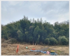  2024Ÿ��61092  �Ӿ߰��