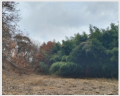  2024Ÿ��61092  �Ӿ߰��