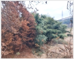  2024Ÿ��61092  �Ӿ߰��