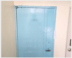  2024Ÿ61245 泲  ۻ ű 11-17, 8 2202ȣ ()   ټ,