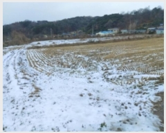  2024Ÿ61481 泲  뿬 631-3       (1)