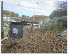  2024Ÿ��61504  �Ӿ߰��