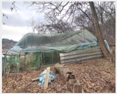  2024Ÿ��61504  �Ӿ߰��