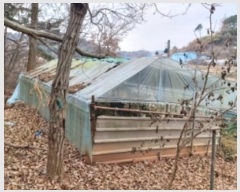  2024Ÿ��61504  �Ӿ߰��