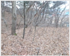  2024Ÿ��61504  �Ӿ߰��