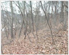  2024Ÿ��61504  �Ӿ߰��