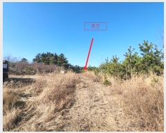  2024Ÿ61689 泲   θ 141-35      (Ӿ)