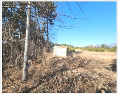  2024Ÿ61689 泲   θ 141-35      (Ӿ)