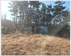  2024Ÿ61689 泲   θ 141-35      (Ӿ)