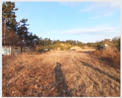  2024Ÿ61689 泲   θ 141-35      (Ӿ)