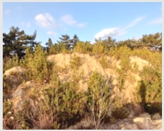  2024Ÿ61689 泲   θ 141-35      (Ӿ)