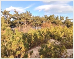  2024Ÿ61689 泲   θ 141-35      (Ӿ)