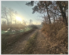  2024Ÿ��61849 �泲 ������ �۾��� ���︮ 661-13      ����(�Ӿ�)���