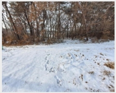  2024Ÿ��61849 �泲 ������ �۾��� ���︮ 661-13      ����(�Ӿ�)���