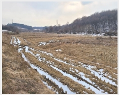  2024Ÿ��62002  ����