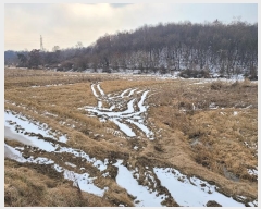  2024Ÿ��62002  ����