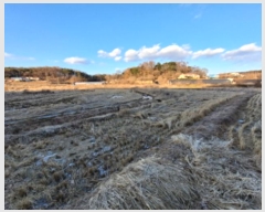  2024Ÿ��62002  ����