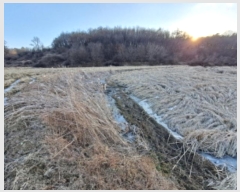  2024Ÿ��62002  ����