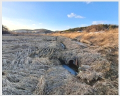  2024Ÿ��62002  ����