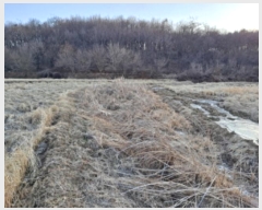  2024Ÿ��62002  ����