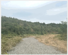  2024Ÿ62217 泲  ۾  48-4      (Ӿ)