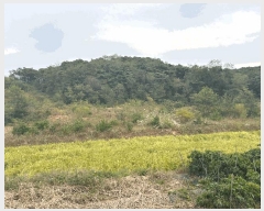  2024Ÿ62217 泲  ۾  48-4      (Ӿ)