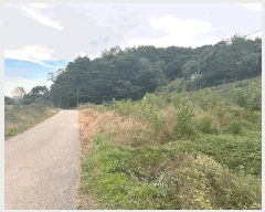  2024Ÿ62217 泲  ۾  48-4      (Ӿ)