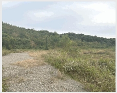  2024Ÿ62217 泲  ۾  48-4      (Ӿ)