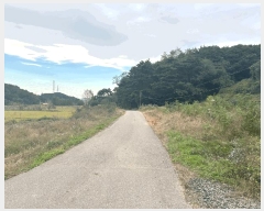  2024Ÿ62217 泲  ۾  48-4      (Ӿ)