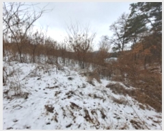  2024Ÿ62217 泲  ۾  48-4      (Ӿ)