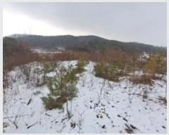  2024Ÿ62217 泲  ۾  48-4      (Ӿ)