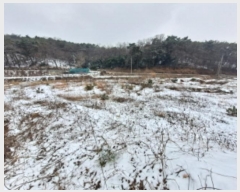  2024Ÿ62217 泲  ۾  48-4      (Ӿ)