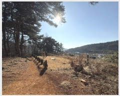  2024Ÿ62279 泲  굿 92-1       (Ӿ)