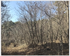  2024Ÿ62279 泲  굿 92-1       (Ӿ)