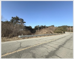  2024Ÿ62279 泲  굿 92-1       (Ӿ)