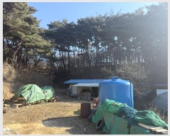  2024Ÿ62279 泲  굿 92-1       (Ӿ)