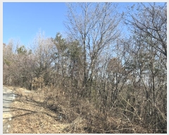  2024Ÿ62279 泲  굿 92-1       (Ӿ)