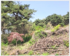  2024Ÿ��1069 �泲 ������ �ۻ�� ����� ��13-8      ����(�Ӿ�)���