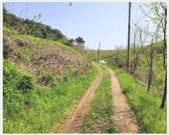  2024Ÿ��1069 �泲 ������ �ۻ�� ����� ��13-8      ����(�Ӿ�)���