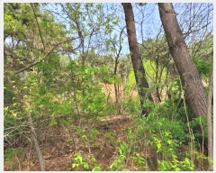  2024Ÿ��1069 �泲 ������ �ۻ�� ����� ��13-8      ����(�Ӿ�)���